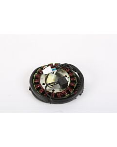 ElectroSport ATV Yamaha Stator