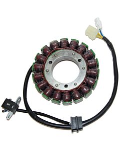 ElectroSport ATV Suzuki Stator
