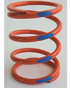 Dalton Industries ATV Kawasaki DPPS-O/BL Primary Spring Mudmayhem.ca