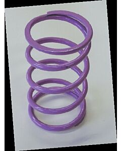 Dalton Industries ATV Kawasaki DPSS-V Secondary Spring Mudmayhem.ca