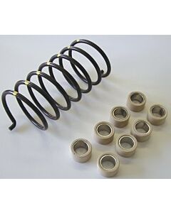 Dalton Industries Suzuki ATV DMT 500C Clutch Kit mudmayhem.ca