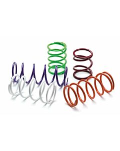 EPI Can-Am ATV/UTV BCS Primary Clutch Spring mudmayhem.ca